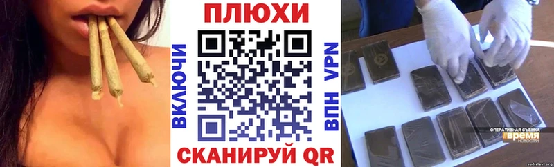 как найти   Юрга  ГАШИШ индика сатива 