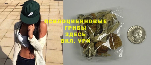 прущая мука Абаза