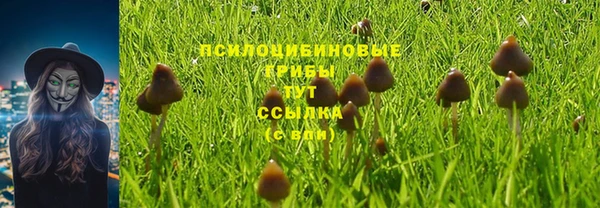 прущая мука Абаза