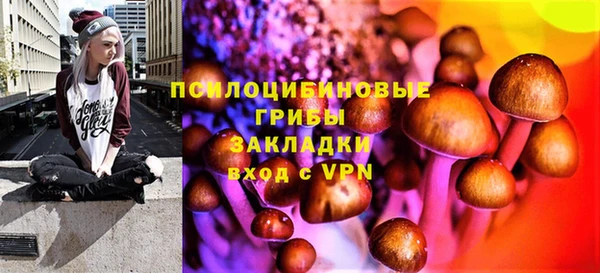 прущая мука Абаза