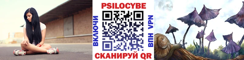hydra рабочий сайт  Юрга  Галлюциногенные грибы Psilocybe 